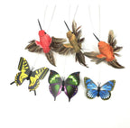 Set of colorful bird and butterfly toys on a white background