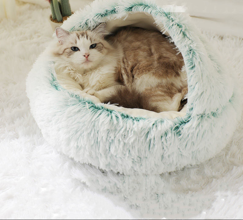Cat lying in a fluffy white pet bed with green trim