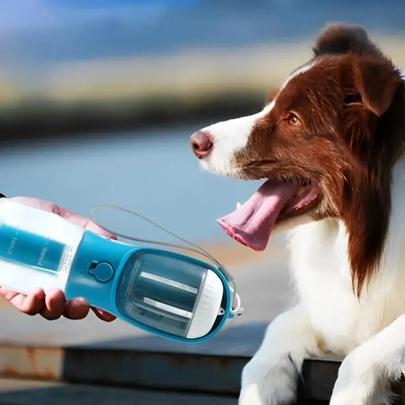 Dog with a blue and white portable water bottle by a body of water