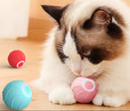 Cat playing with a pink and blue toy ball on a wooden floor.