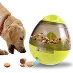 Dog interacting with a green and clear treat dispenser filled with kibble on a white background
