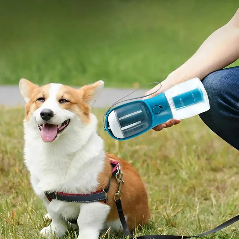 Dog being petted by a person holding a blue and white device in a grassy outdoor setting