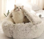 Cat sitting in a plush, crystal velvet-brown pet bed on a light surface.