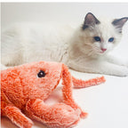 Cat playing with a plush toy on a white background