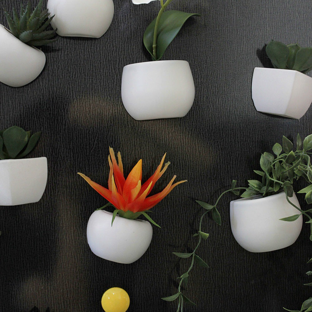 White wall-mounted planters with various plants on a dark textured wall.