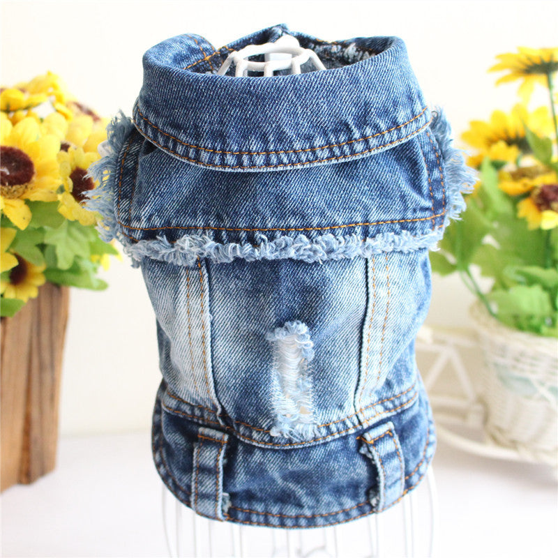 Denim pet outfit with flowers in the background