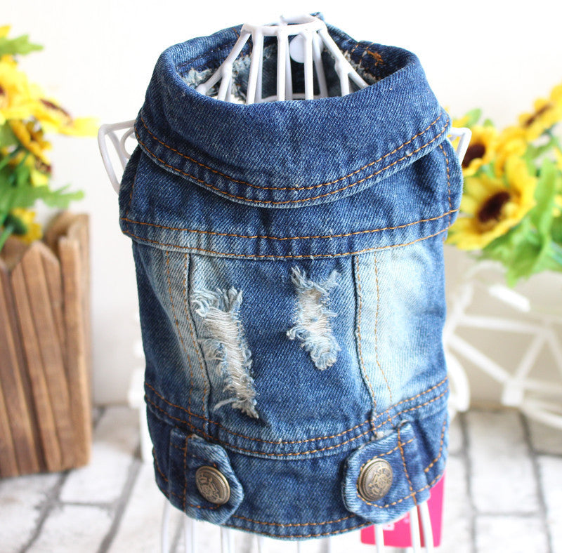 Denim jacket for pets on a white stand with sunflowers in the background