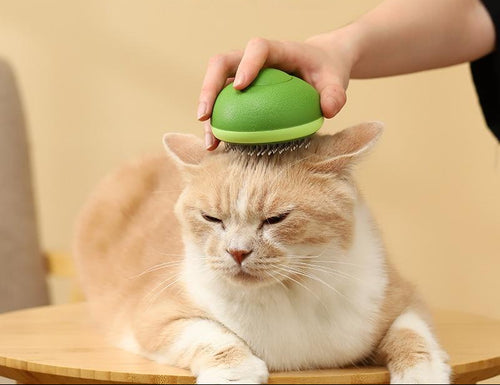 Person using a green grooming tool on a cat with text about decompression hair removal.