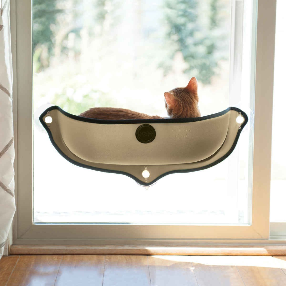 EZ Mount Window Cat Bed – Suction Cup Kitty Sill with Cushion | Jeffers