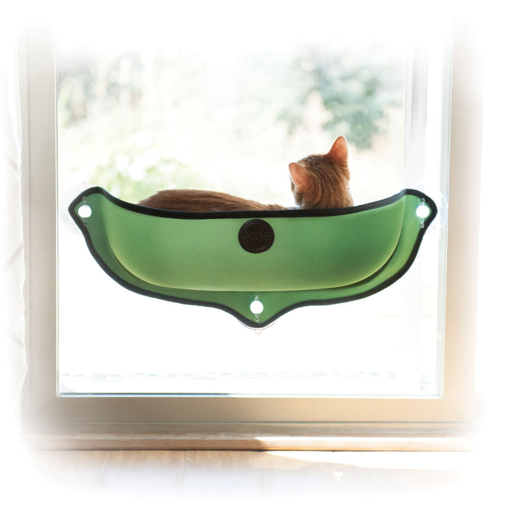 EZ Mount Window Cat Bed – Suction Cup Kitty Sill with Cushion | Jeffers