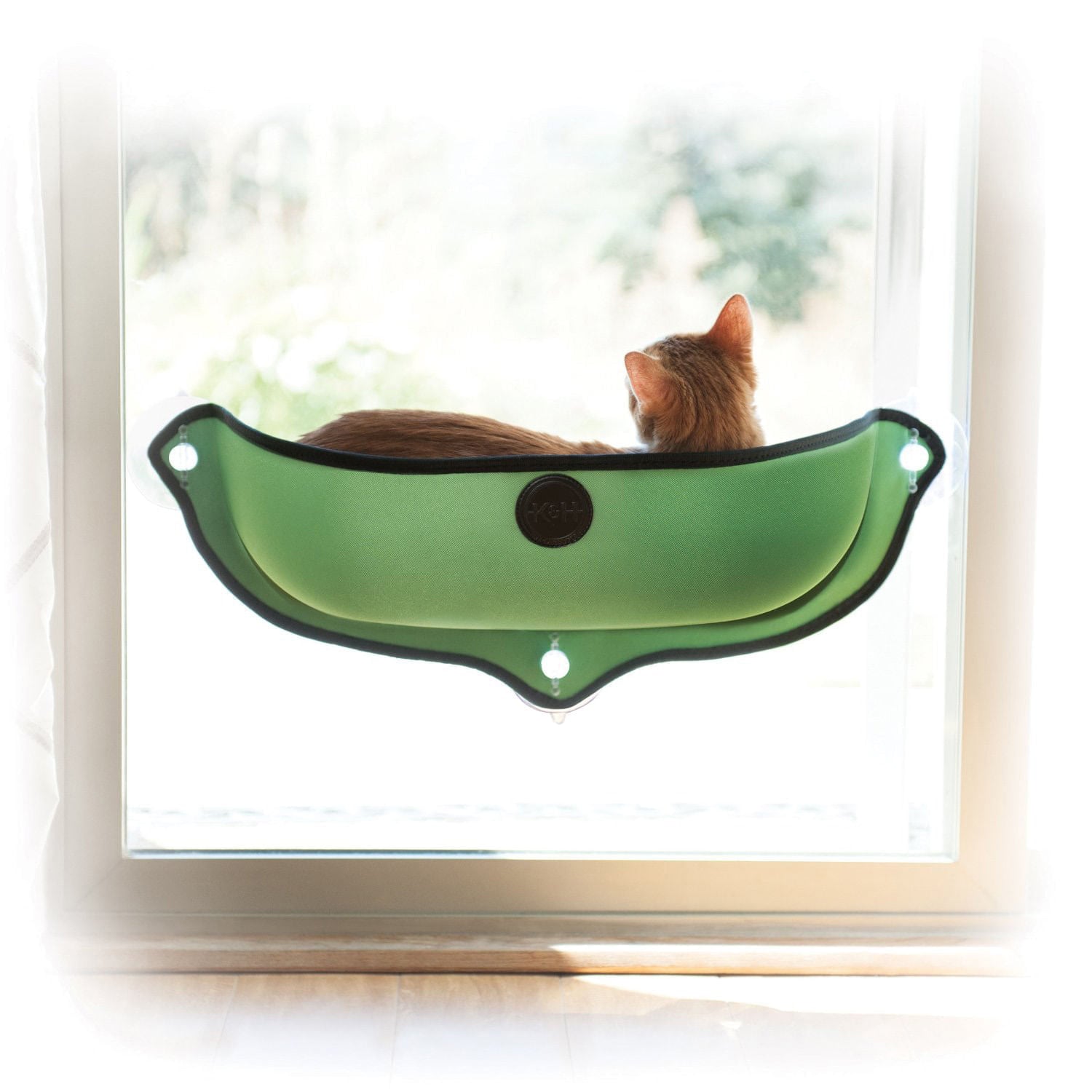EZ Mount Window Cat Bed – Suction Cup Kitty Sill with Cushion | Jeffers