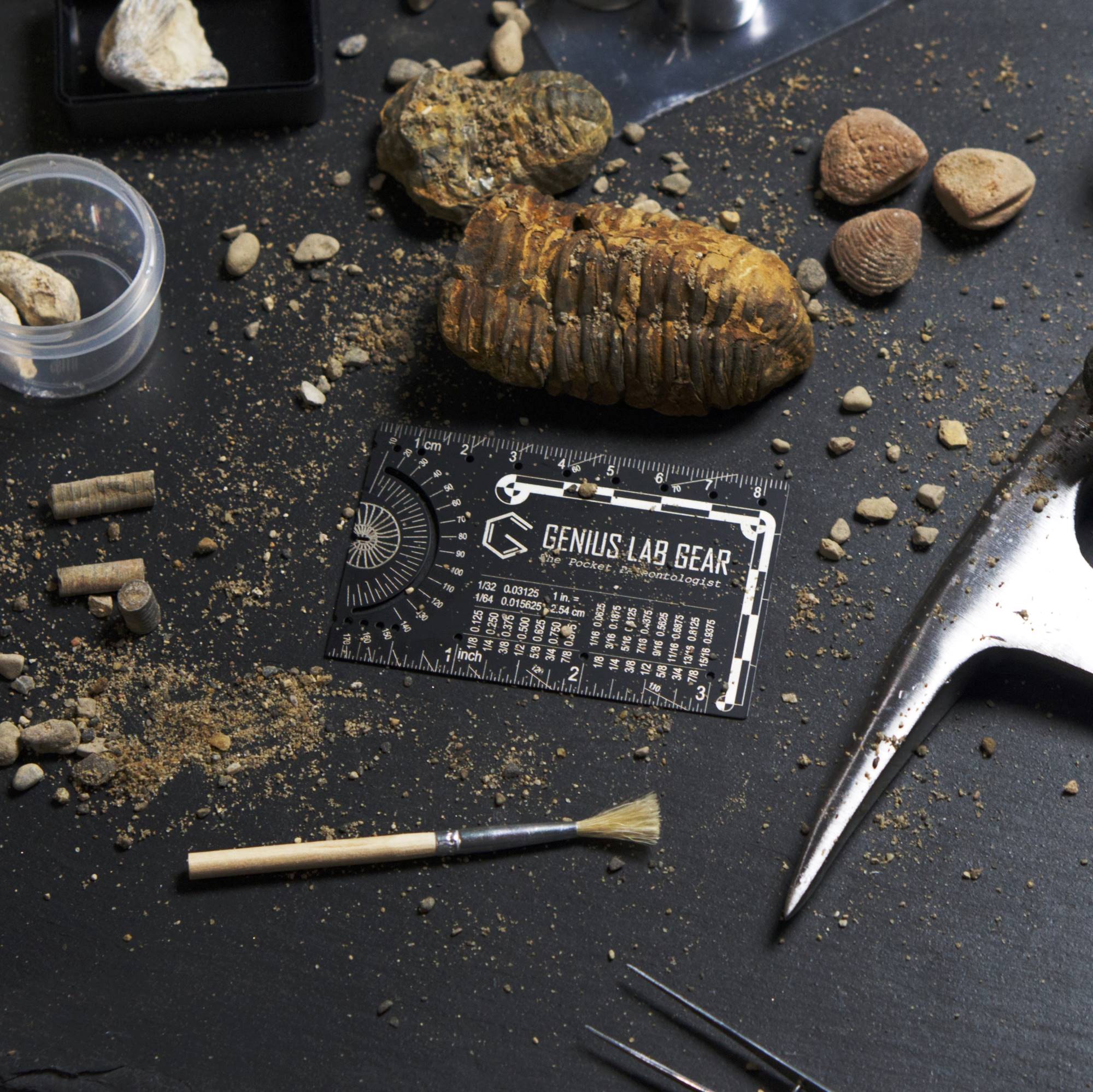 The Pocket Paleontologist - Fossil hunting pocket tool