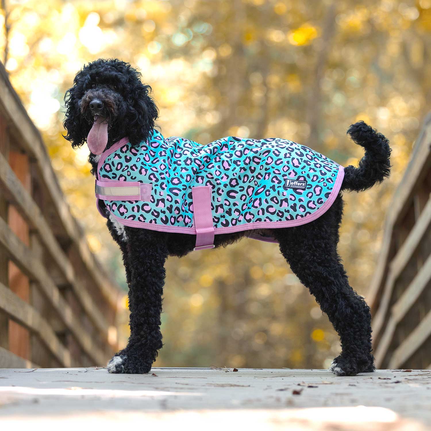 Waterproof Dog Coat – Insulated Ripstop with Reflective Strips | Jeffers Expression