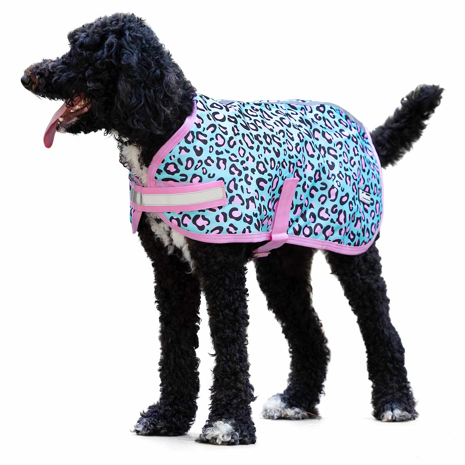 Waterproof Dog Coat – Insulated Ripstop with Reflective Strips | Jeffers Expression