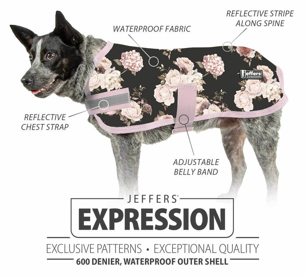 Waterproof Dog Coat – Insulated Ripstop with Reflective Strips | Jeffers Expression