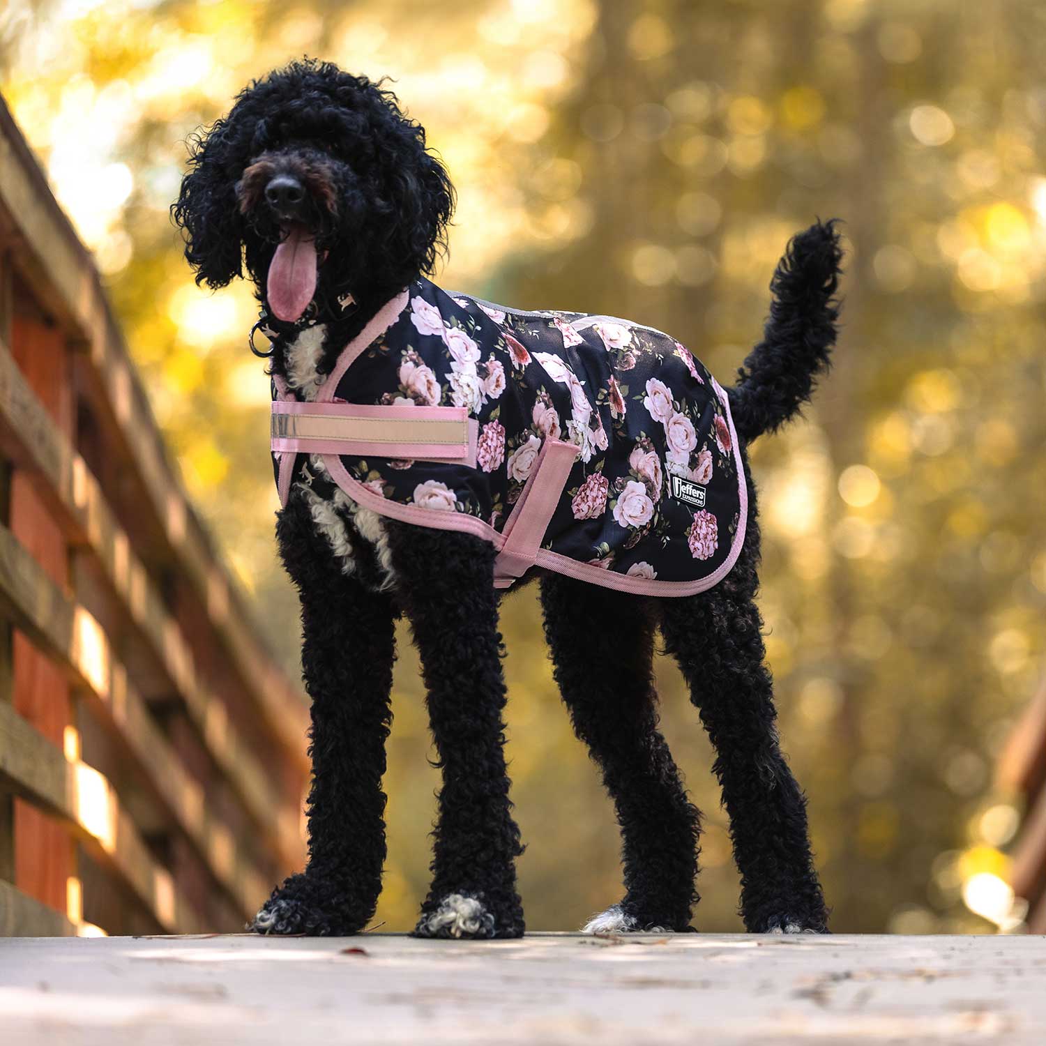 Waterproof Dog Coat – Insulated Ripstop with Reflective Strips | Jeffers Expression