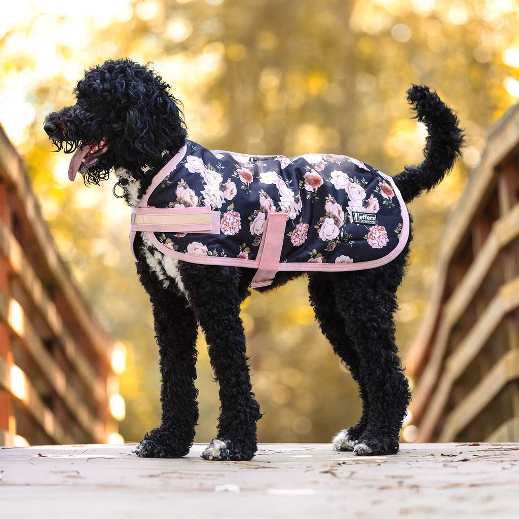 Waterproof Dog Coat – Insulated Ripstop with Reflective Strips | Jeffers Expression