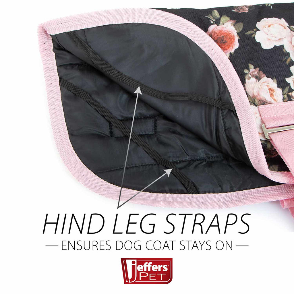 Waterproof Dog Coat – Insulated Ripstop with Reflective Strips | Jeffers Expression