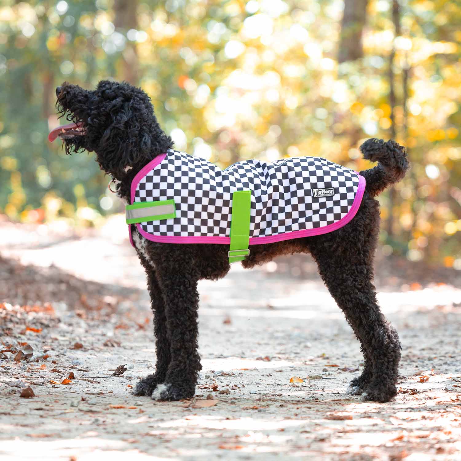 Waterproof Dog Coat – Insulated Ripstop with Reflective Strips | Jeffers Expression