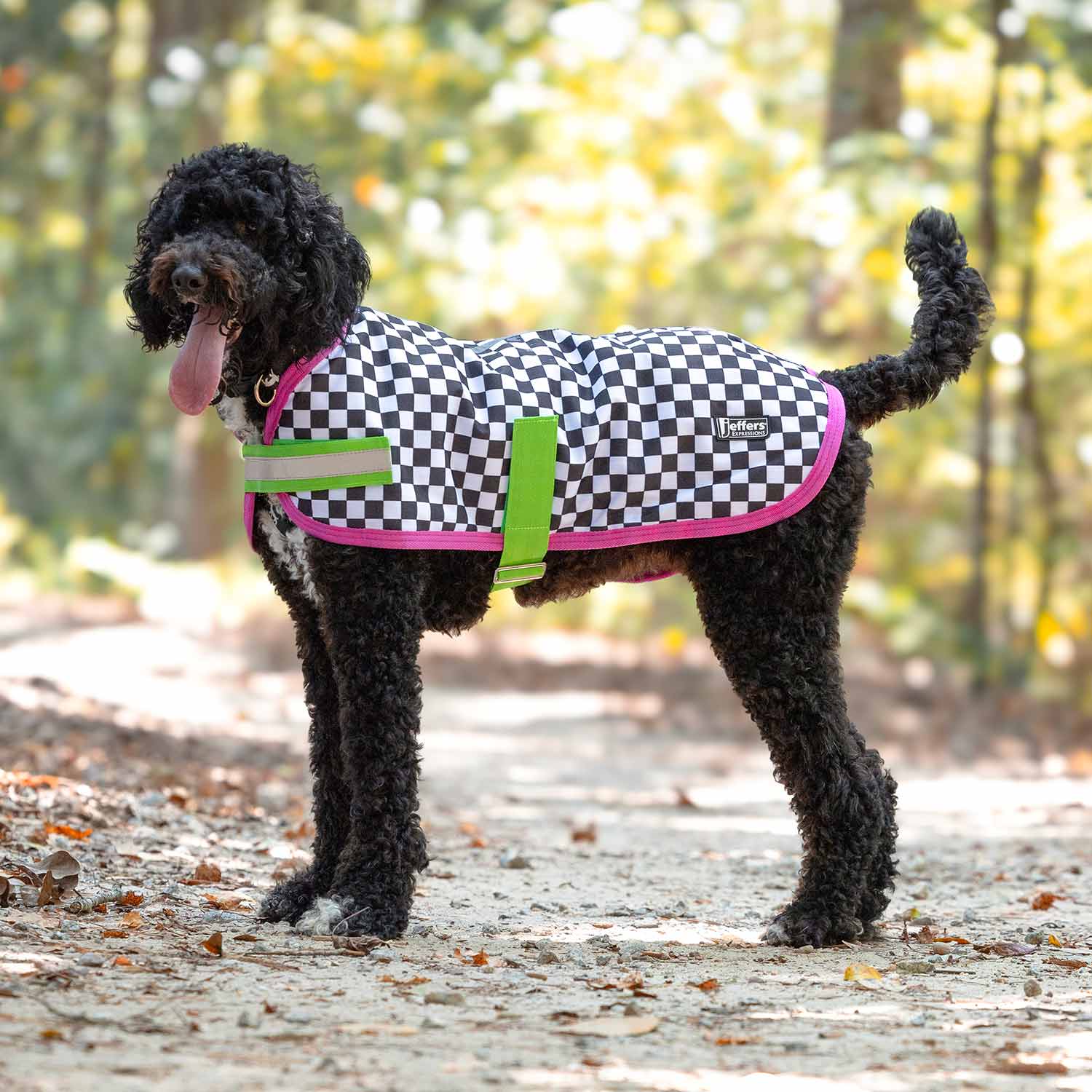 Waterproof Dog Coat – Insulated Ripstop with Reflective Strips | Jeffers Expression