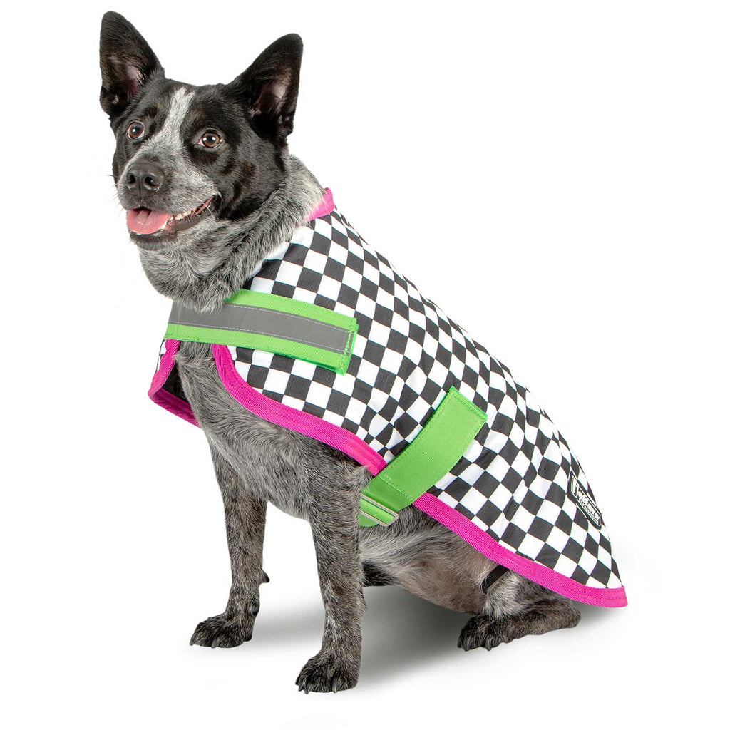 Waterproof Dog Coat – Insulated Ripstop with Reflective Strips | Jeffers Expression