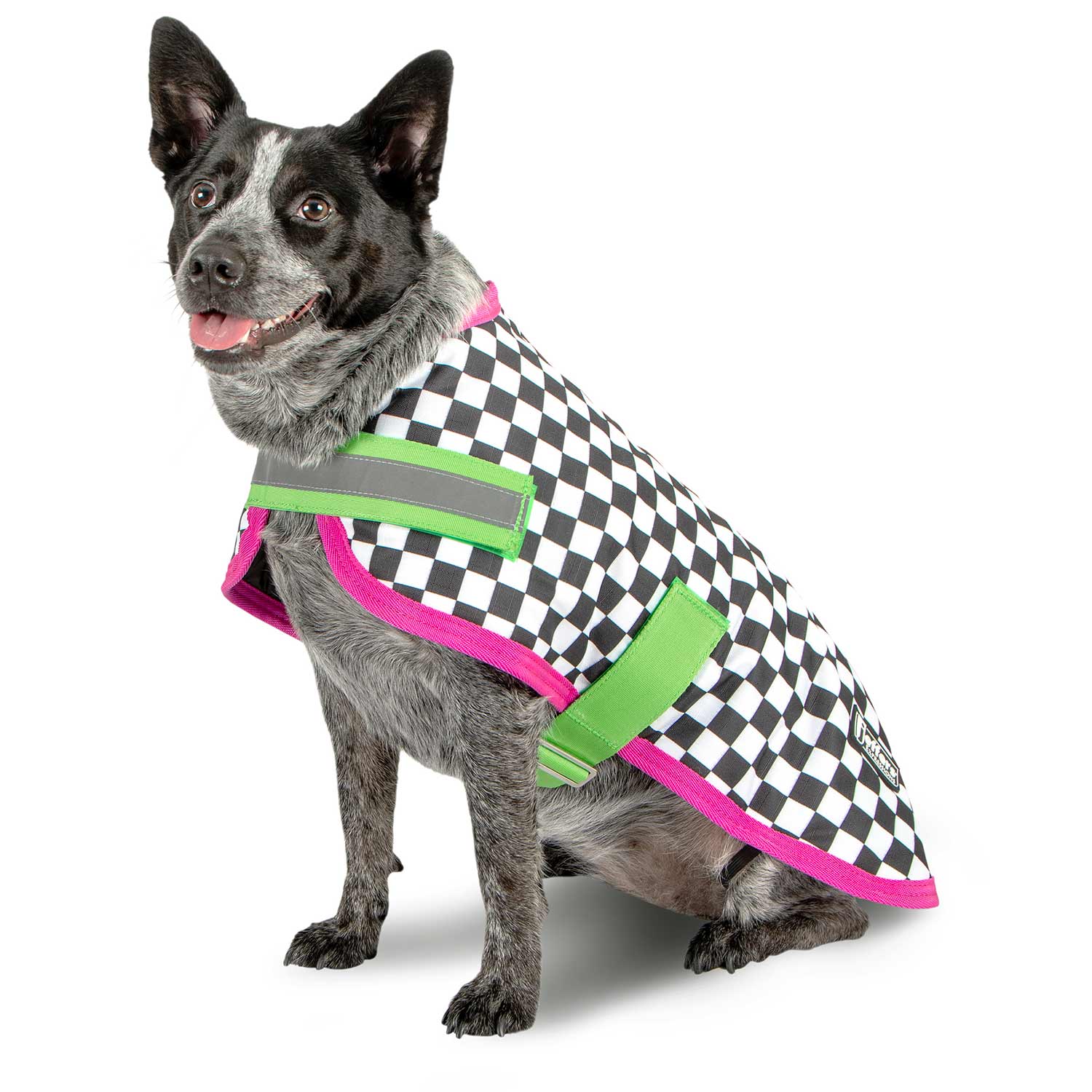 Waterproof Dog Coat – Insulated Ripstop with Reflective Strips | Jeffers Expression