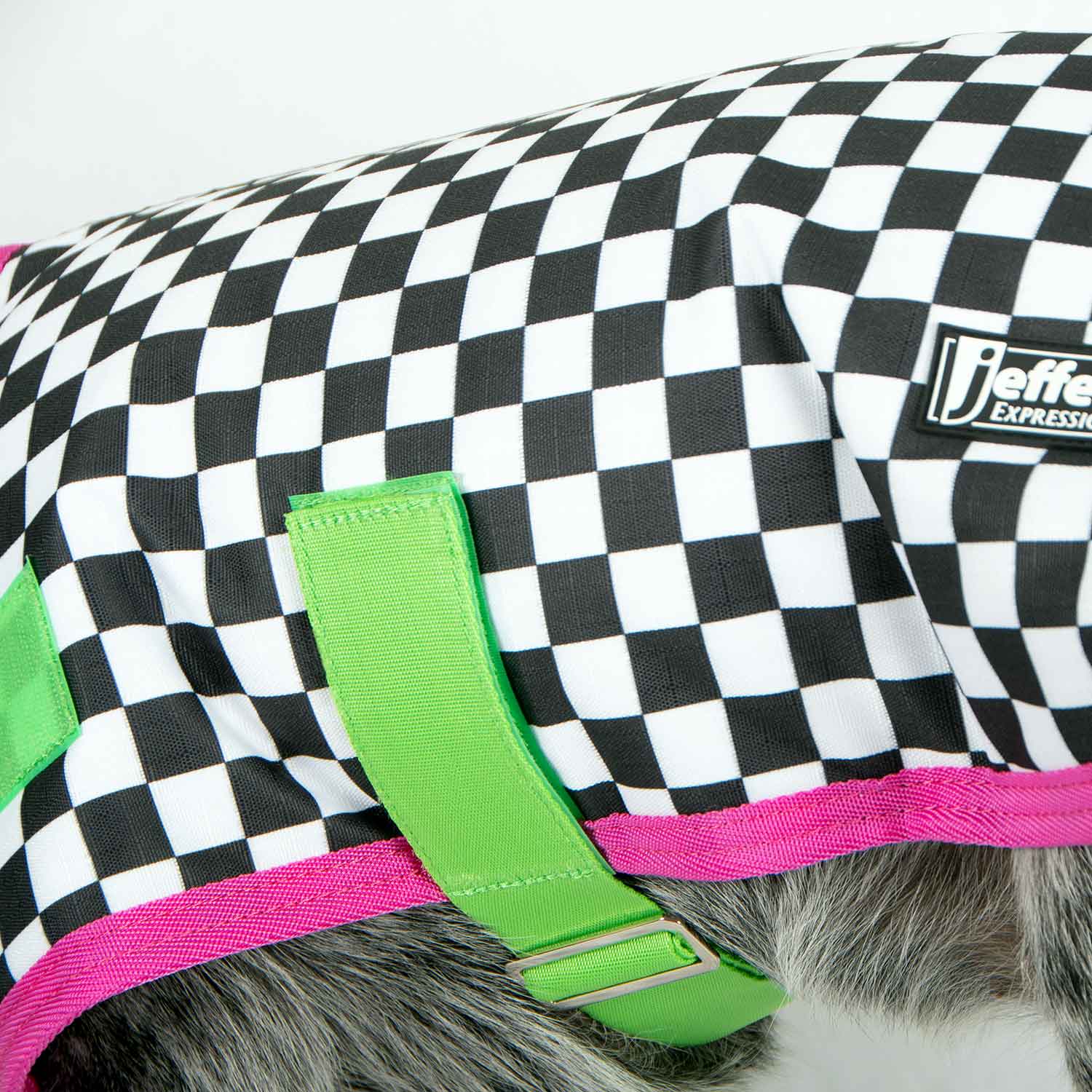 Waterproof Dog Coat – Insulated Ripstop with Reflective Strips | Jeffers Expression