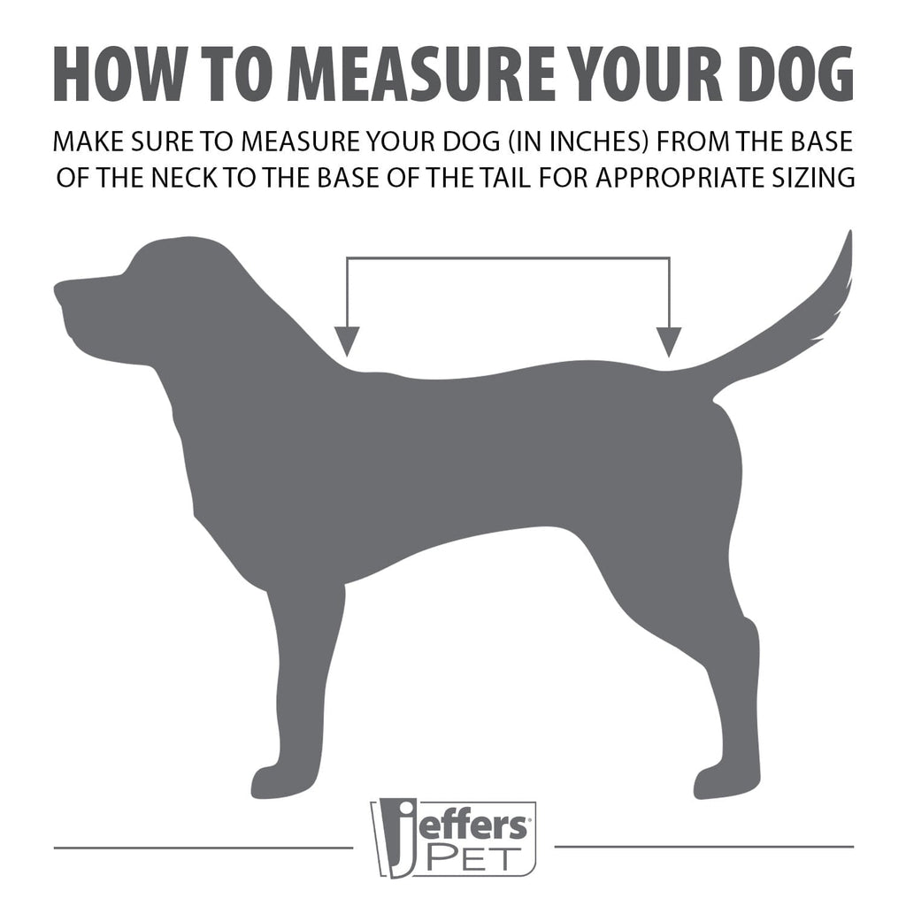 Waterproof Dog Coat – Insulated Ripstop with Reflective Strips | Jeffers Expression