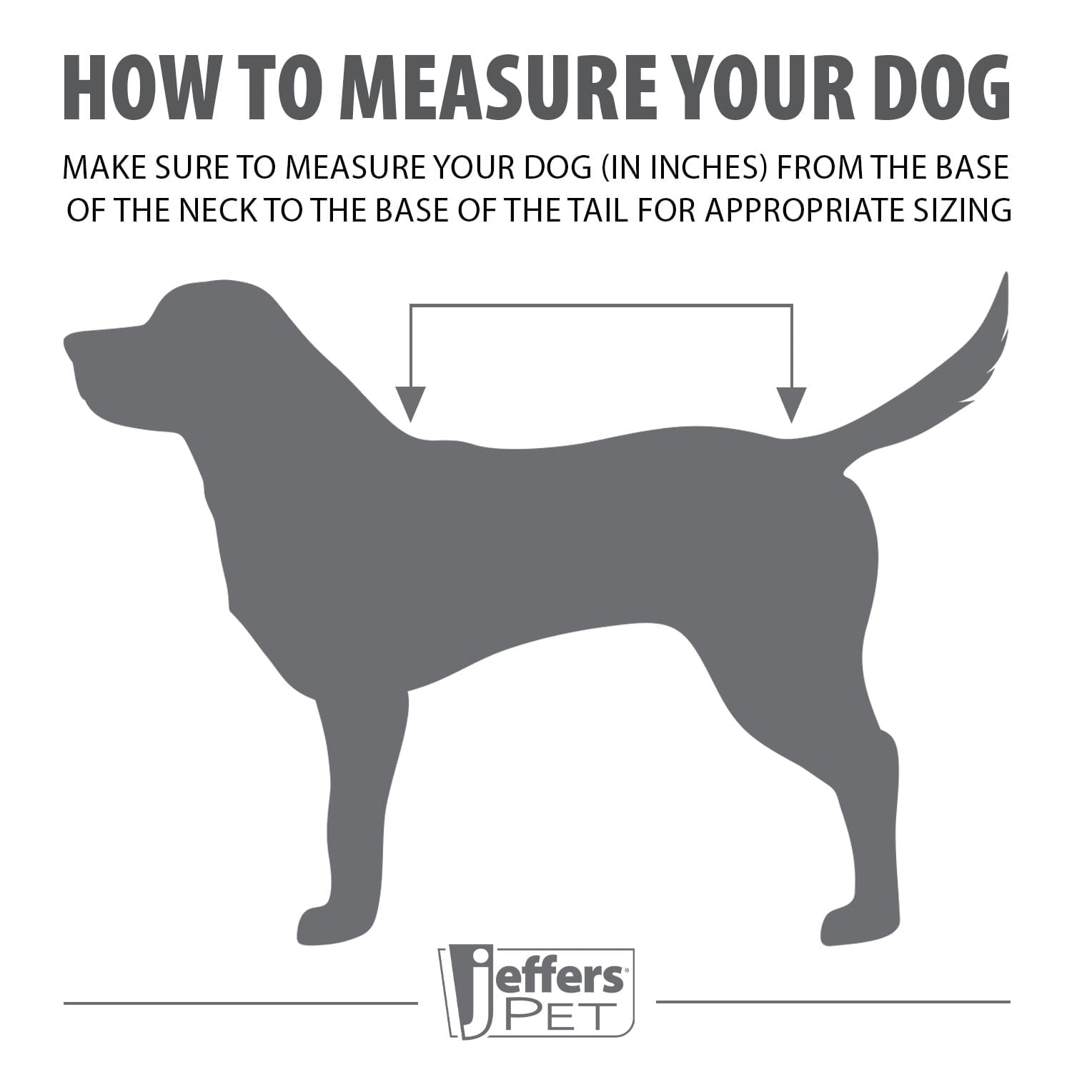 Waterproof Dog Coat – Insulated Ripstop with Reflective Strips | Jeffers Expression