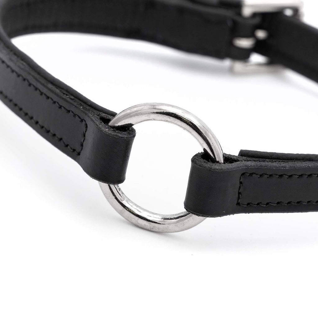 Padded Black Leather Dog Collar – Drum-Dyed Cowhide, Nickel O-Ring | Jeffers