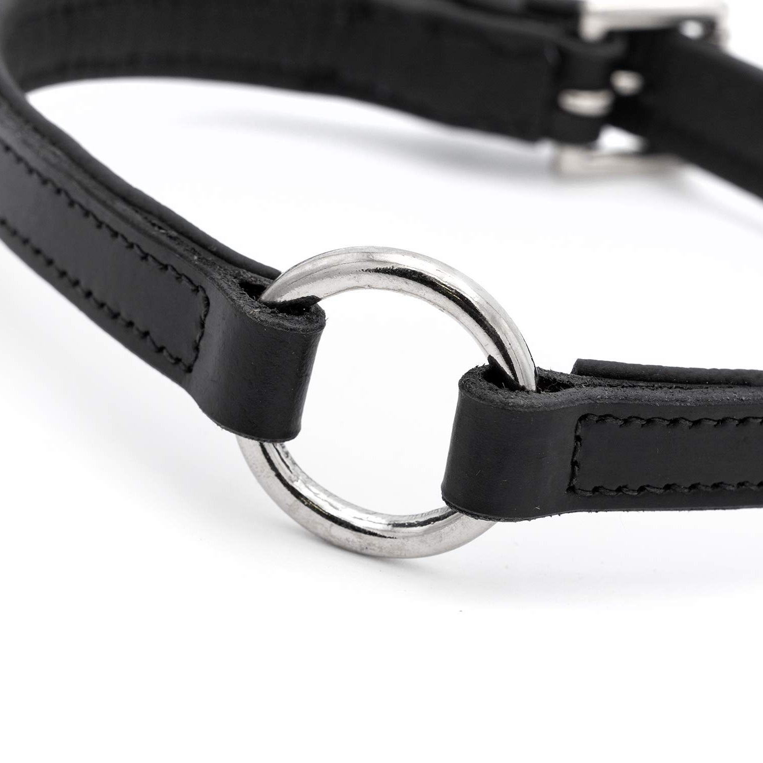 Padded Black Leather Dog Collar – Drum-Dyed Cowhide, Nickel O-Ring | Jeffers