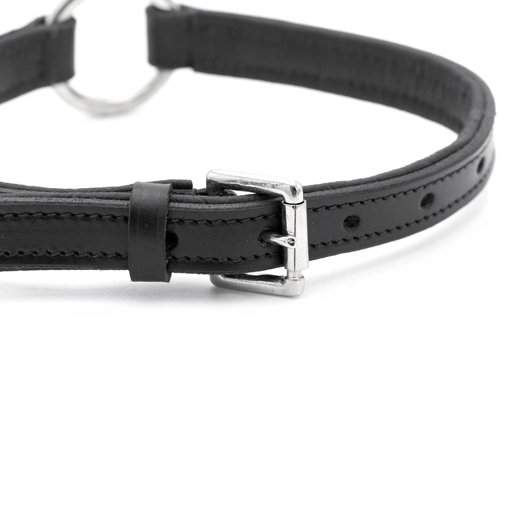 Padded Black Leather Dog Collar – Drum-Dyed Cowhide, Nickel O-Ring | Jeffers