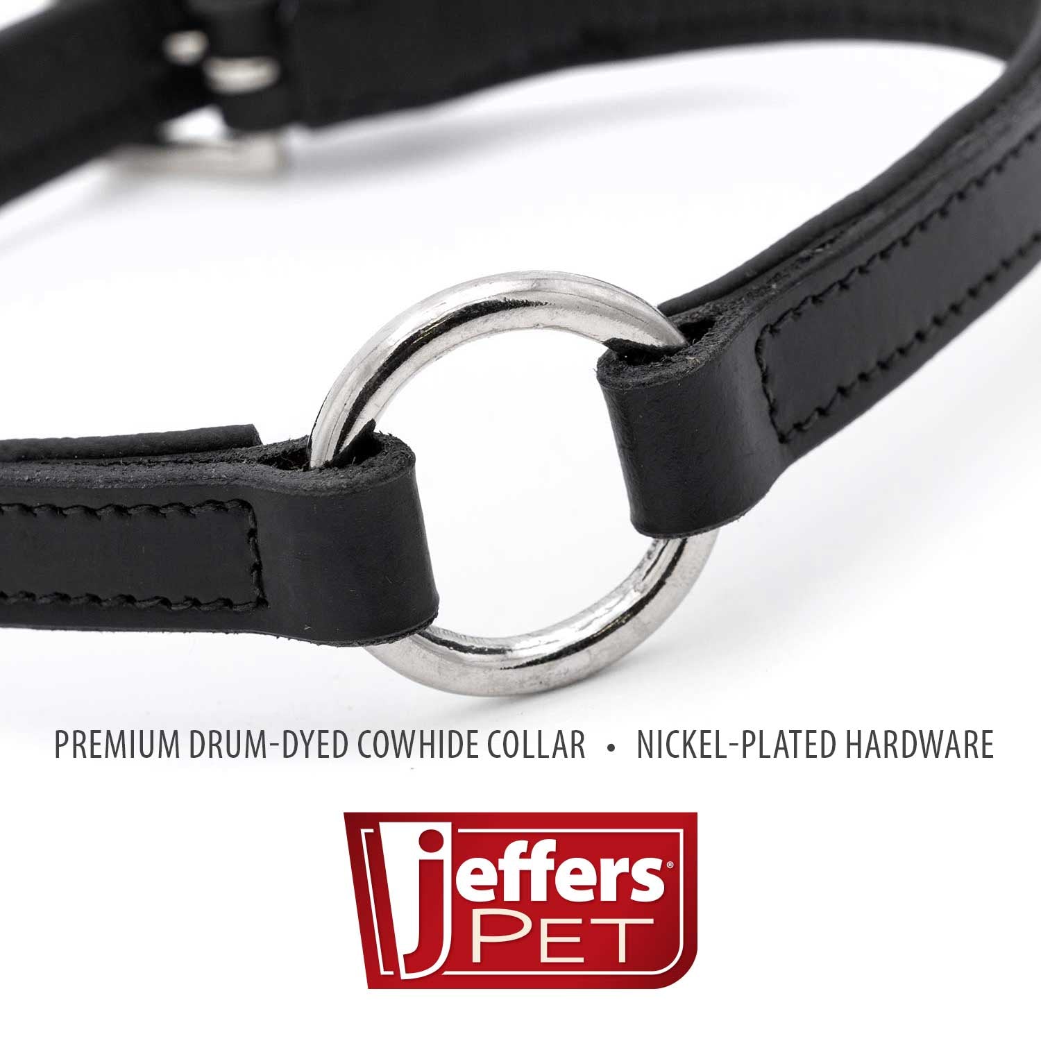 Padded Black Leather Dog Collar – Drum-Dyed Cowhide, Nickel O-Ring | Jeffers