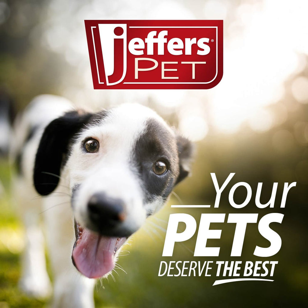 Flat Leather Dog Leash with Hand Strap – 6’, 3 Widths | Jeffers