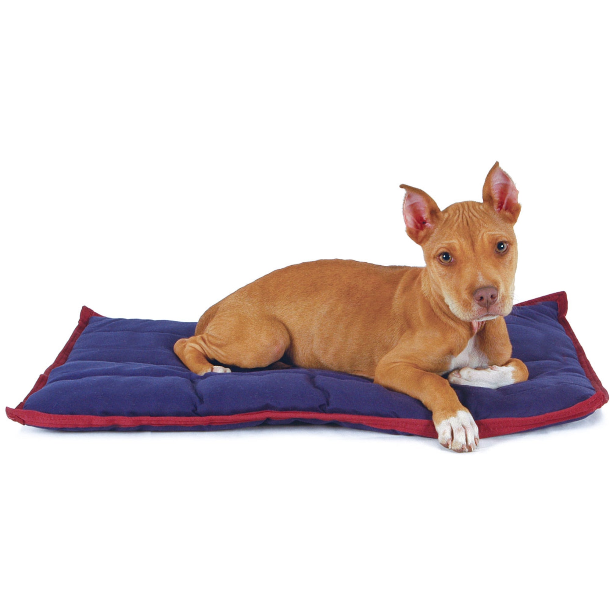 Washable Comfort Dog Pillow – 6 Sizes, 3 Colors | Jeffers Pet