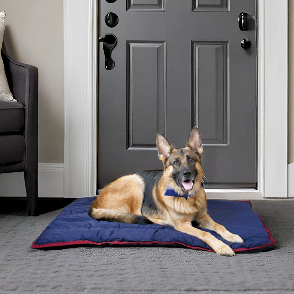 Washable Comfort Dog Pillow – 6 Sizes, 3 Colors | Jeffers Pet