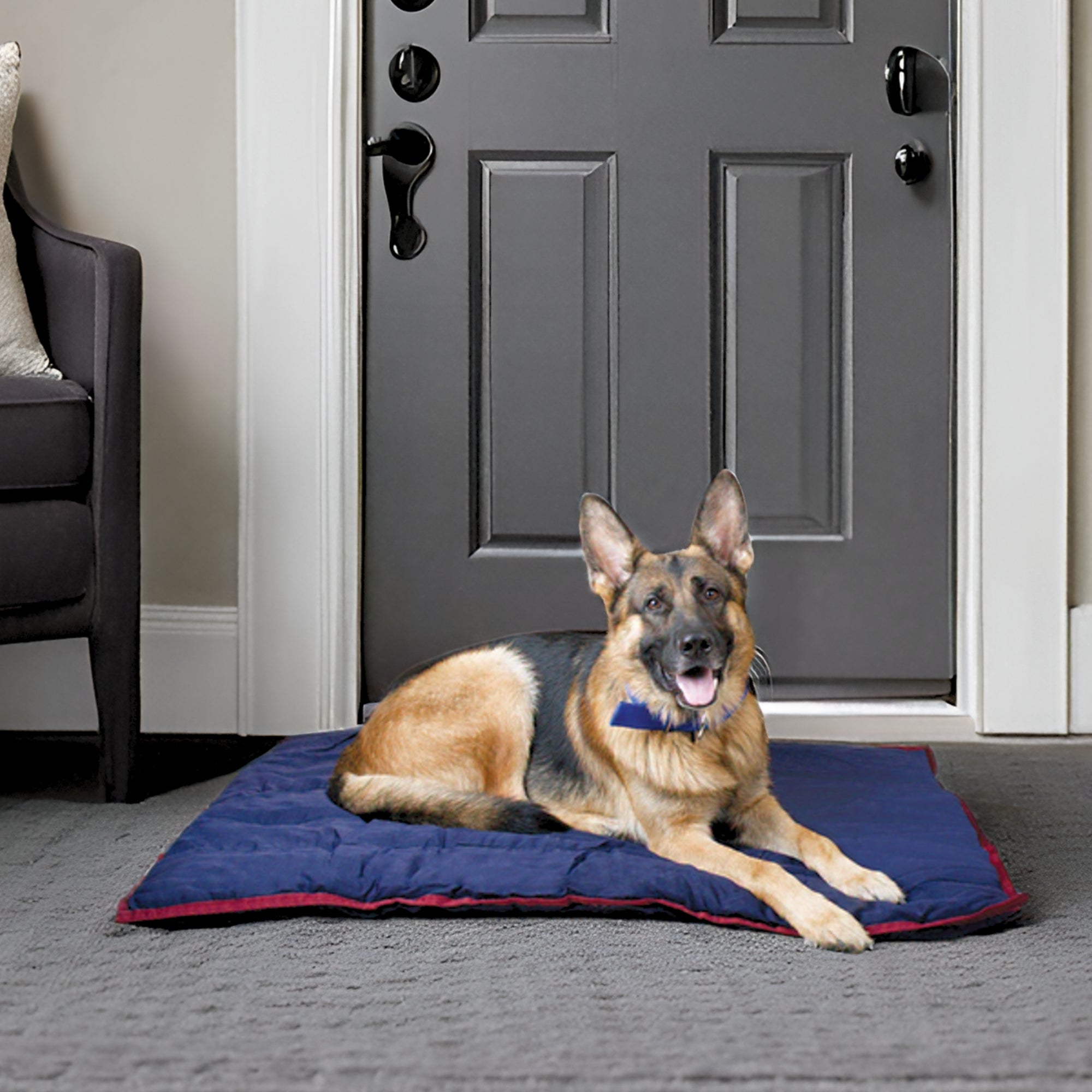 Washable Comfort Dog Pillow – 6 Sizes, 3 Colors | Jeffers Pet