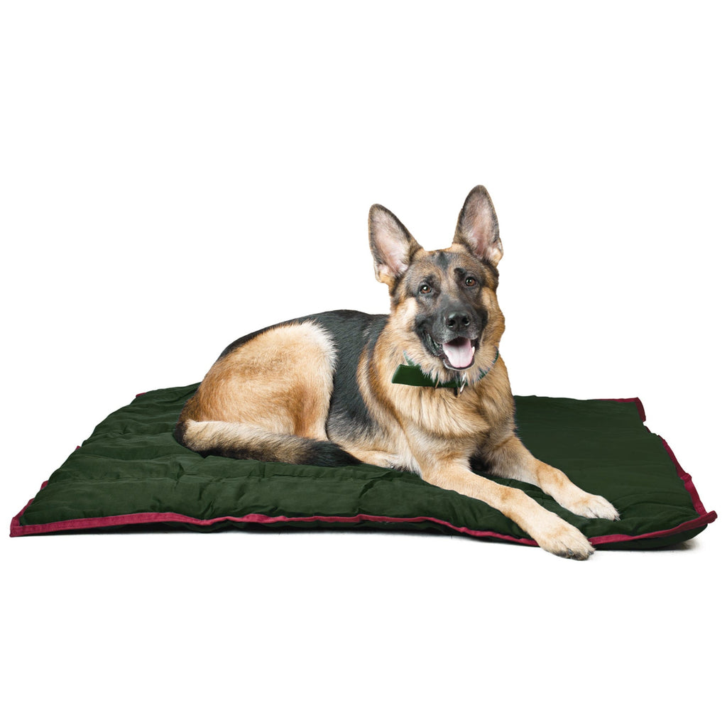 Washable Comfort Dog Pillow – 6 Sizes, 3 Colors | Jeffers Pet