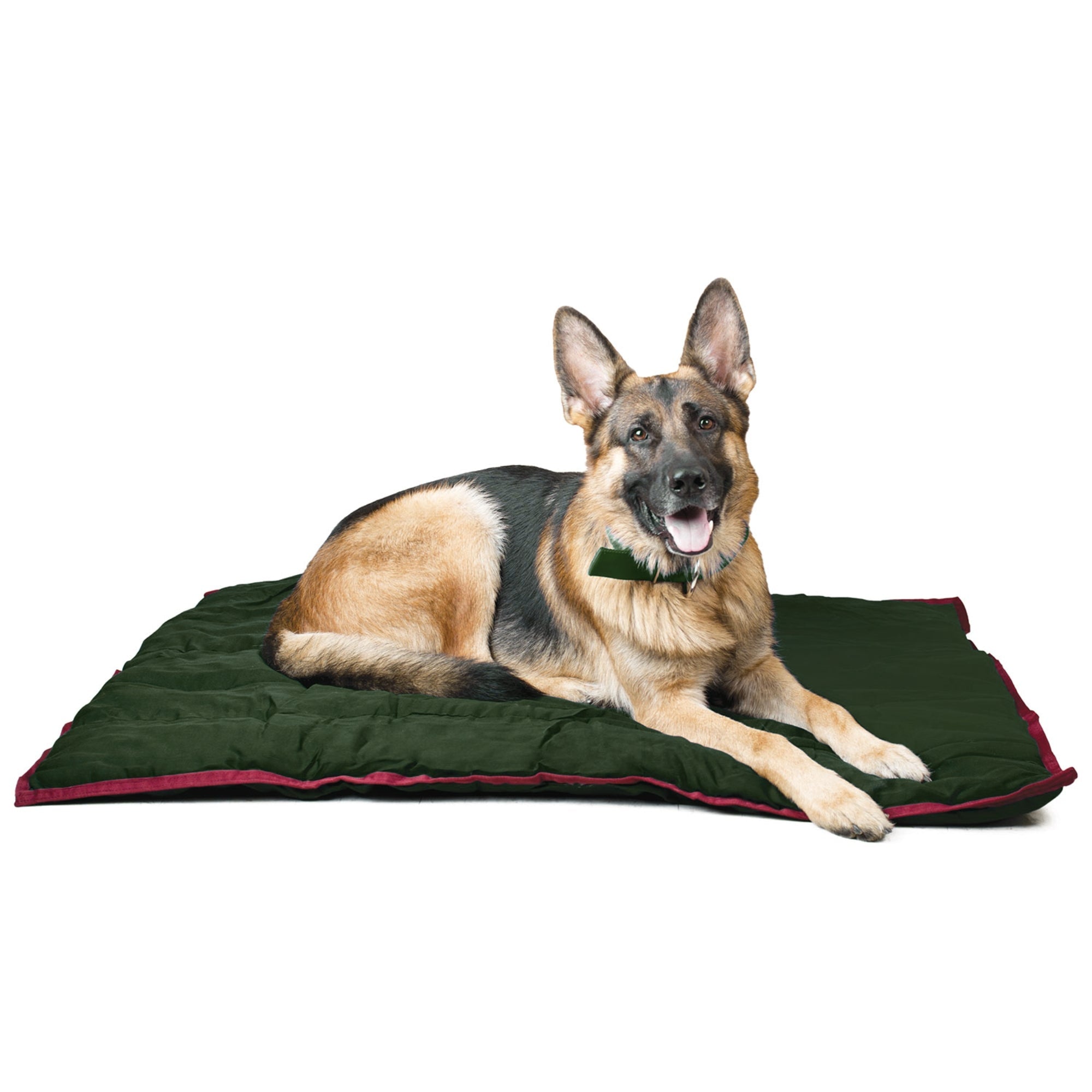 Washable Comfort Dog Pillow – 6 Sizes, 3 Colors | Jeffers Pet