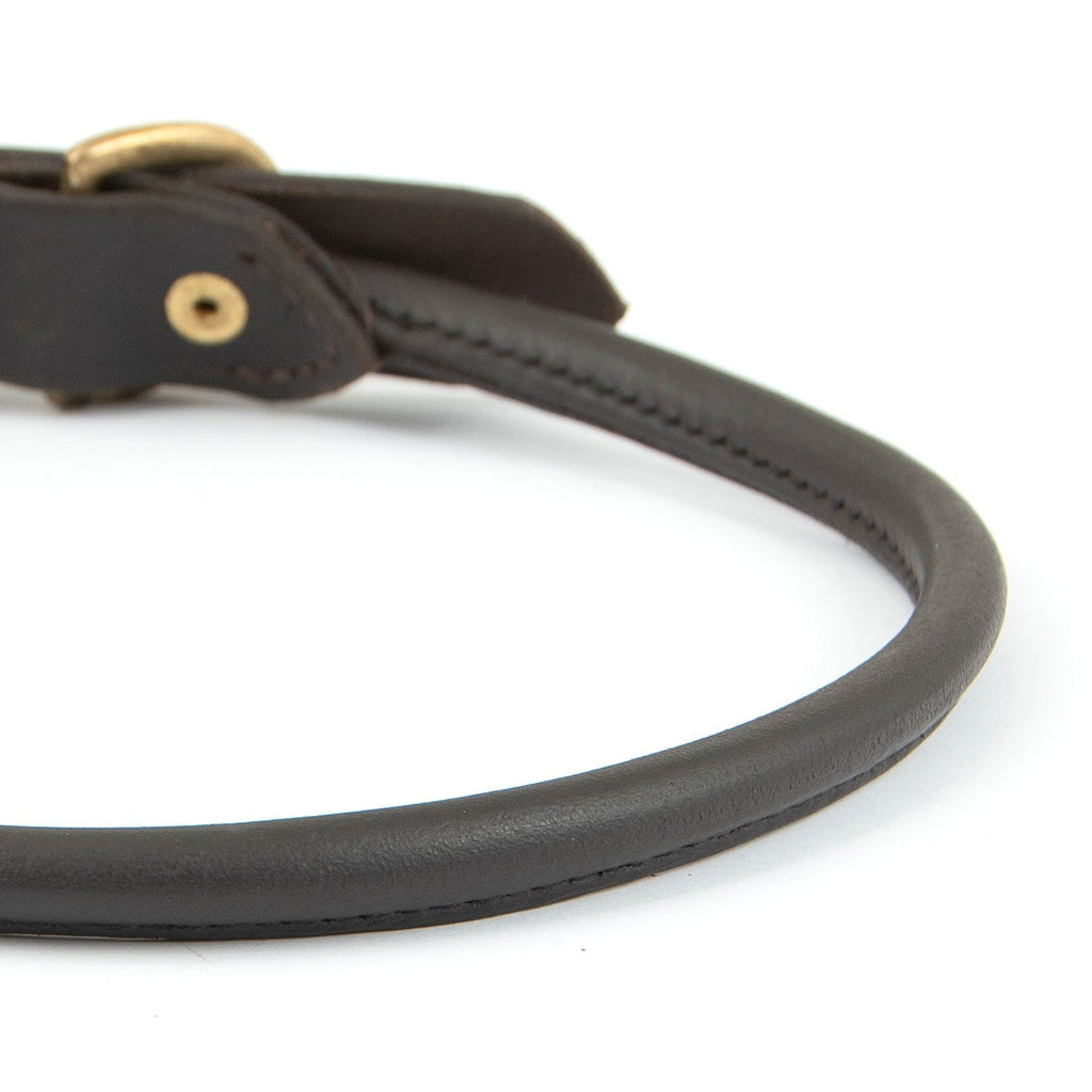 Rolled Leather Dog Collar – Chestnut with Brass Hardware, 8 Sizes | Jeffers