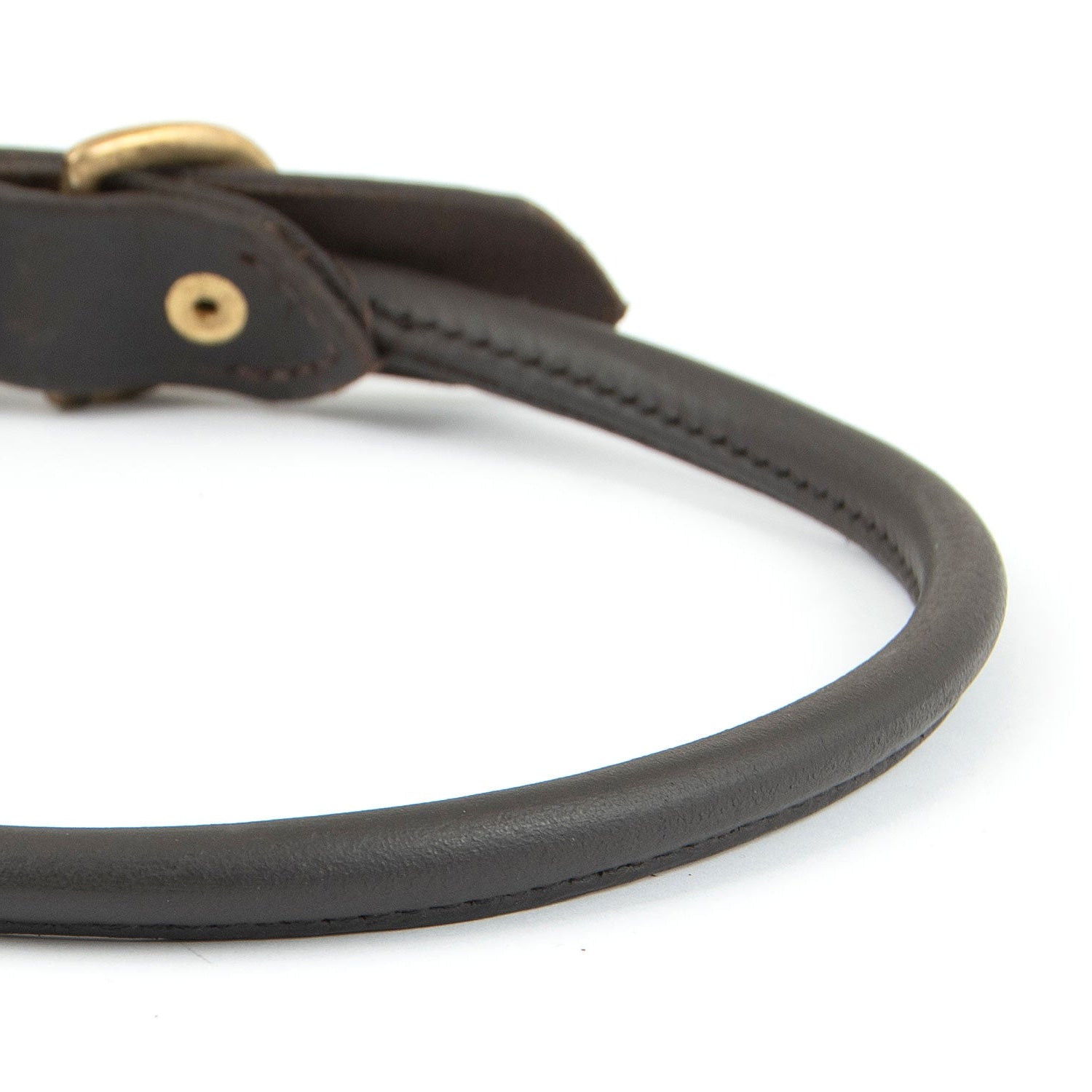 Rolled Leather Dog Collar – Chestnut with Brass Hardware, 8 Sizes | Jeffers