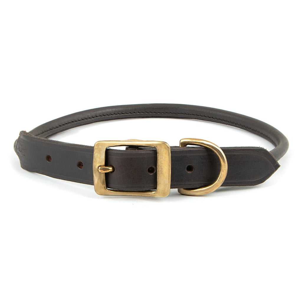 Rolled Leather Dog Collar – Chestnut with Brass Hardware, 8 Sizes | Jeffers