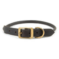 Rolled Leather Dog Collar – Chestnut with Brass Hardware, 8 Sizes | Jeffers