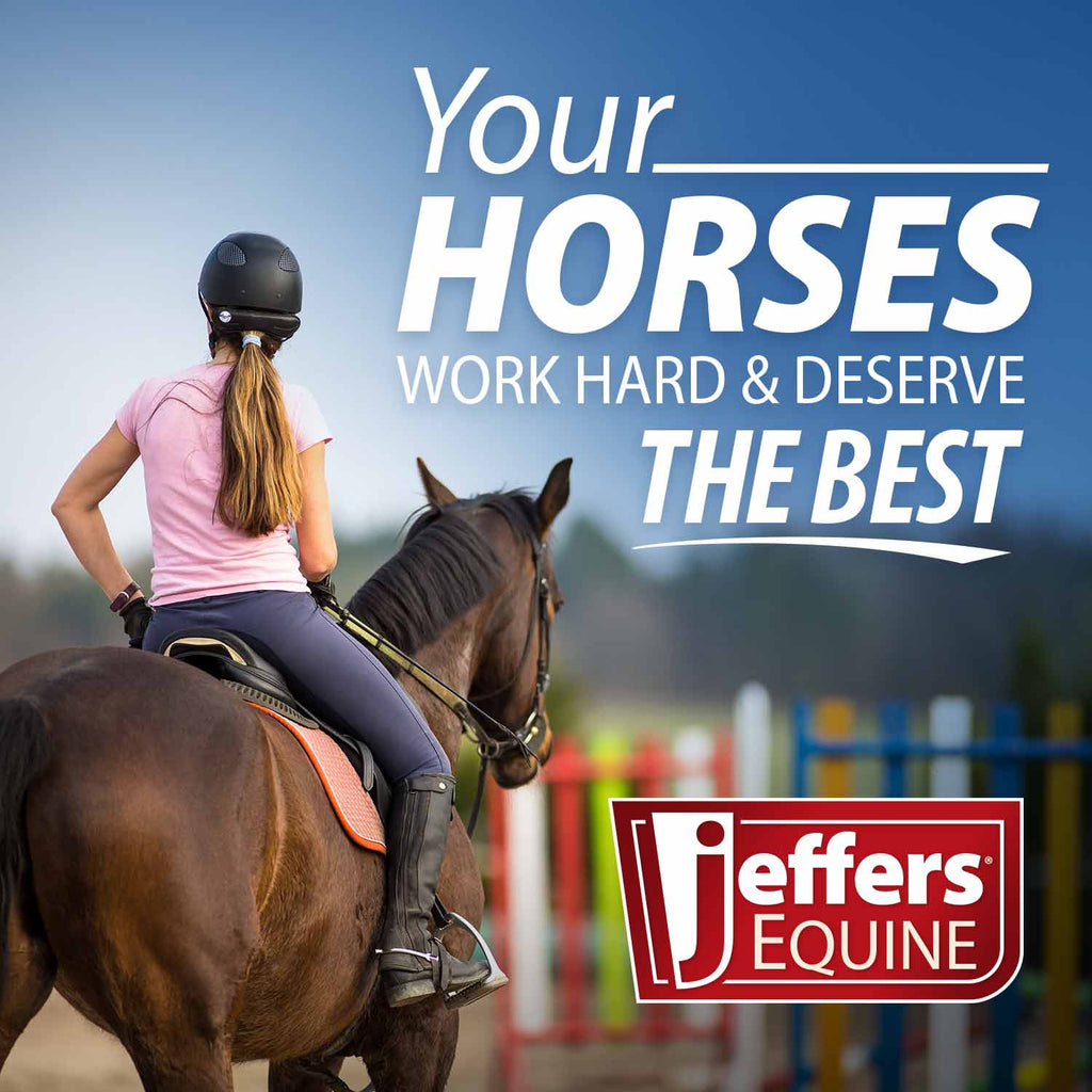 Horse Grooming Tote Caddy – Ripstop Organizer for Barn & Travel | Jeffers Expression