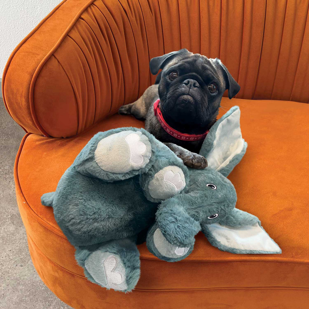 KONG Comfort Kiddos Jumbo Elephant Dog Toy – Plush, Removable Squeaker | XL