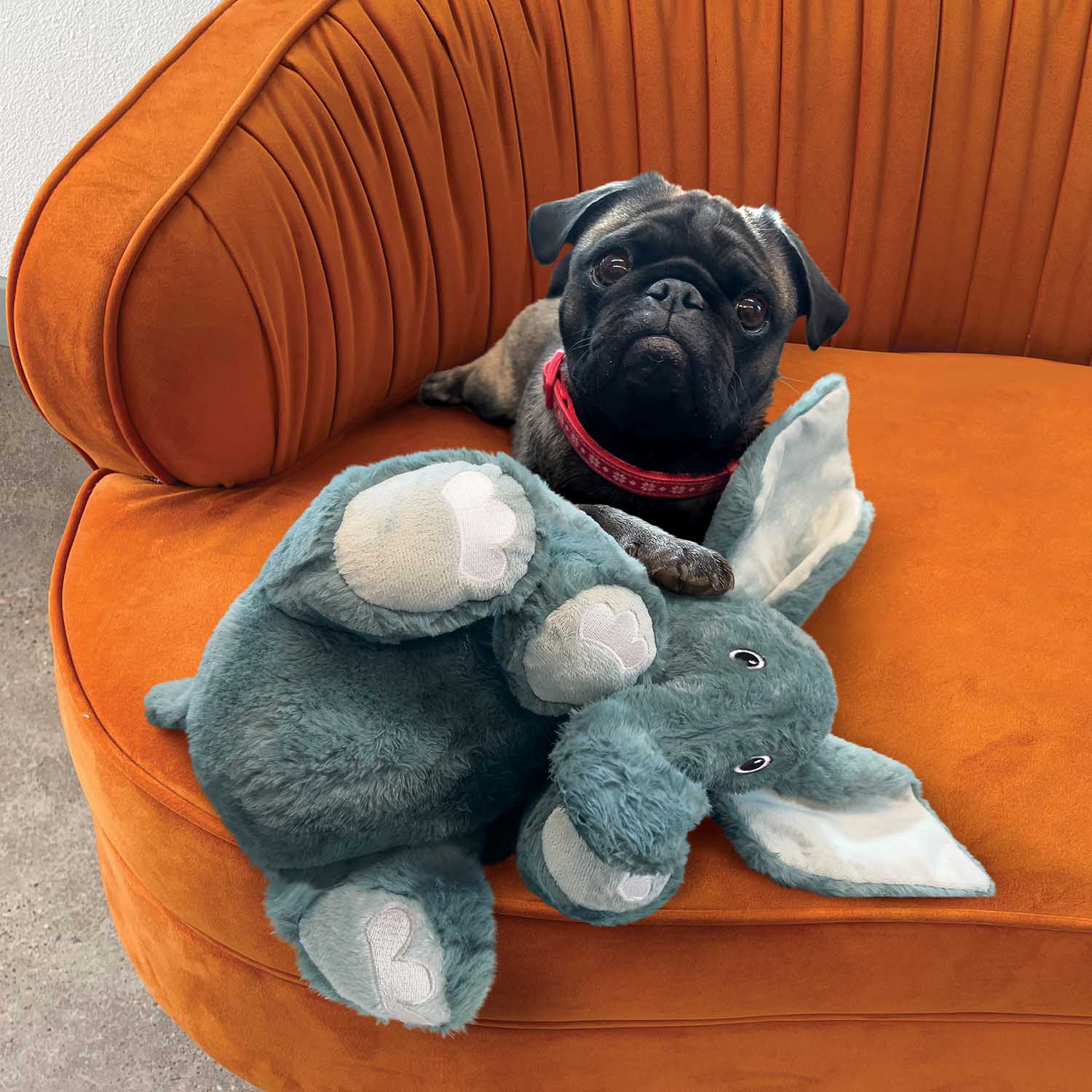 KONG Comfort Kiddos Jumbo Elephant Dog Toy – Plush, Removable Squeaker | XL