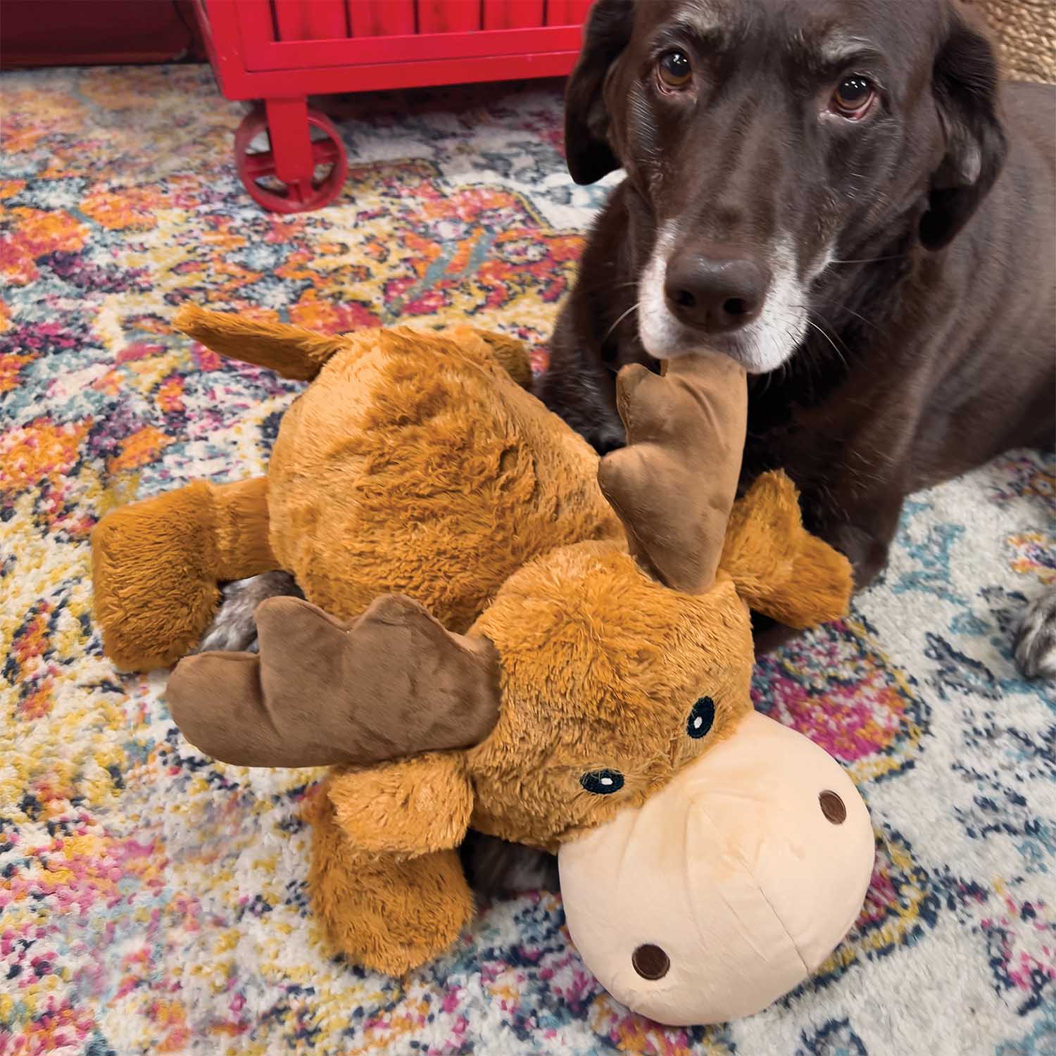 KONG Cozie Jumbo Marvin the Moose Dog Toy – XL Plush, Removable Squeaker