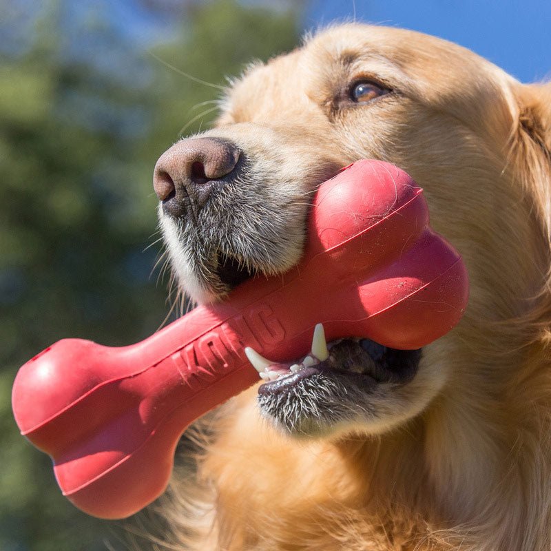 KONG Goodie Bone Rubber Dog Chew Toy – Treat-Stuffable, Medium | Made in USA