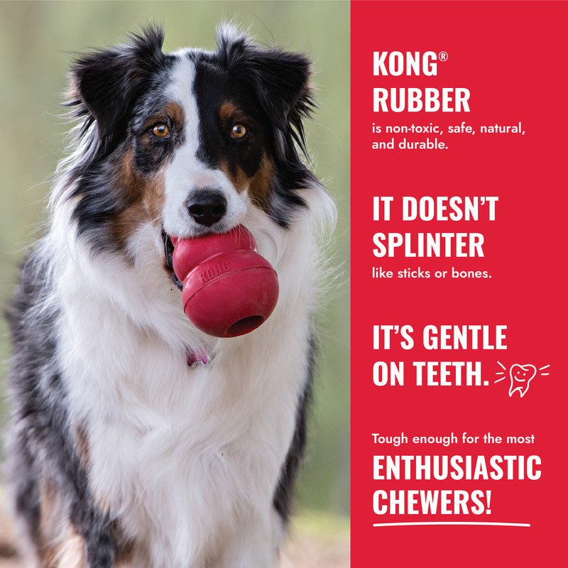KONG Goodie Bone Rubber Dog Chew Toy – Treat-Stuffable, Medium | Made in USA