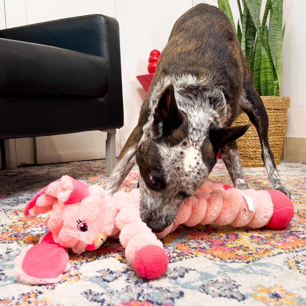 KONG Shakers Crumples Dog Toy – Jumbo Plush, Grunting Squeaker | Sloth & Bunny